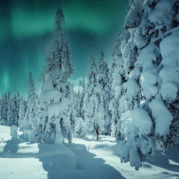 Finnland Signature: Polar Lights im Nature Igloo