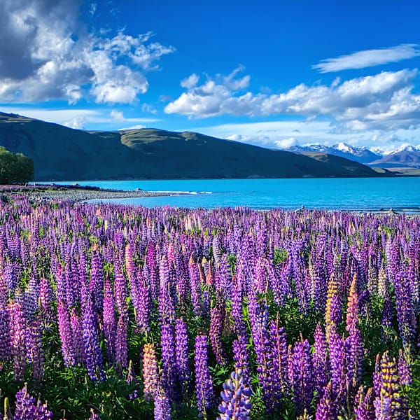 Australien & Neuseeland: Livin’ a Down Under Kind of Dream!