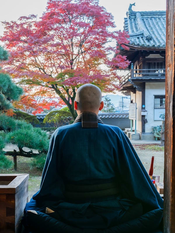 Japan Intense